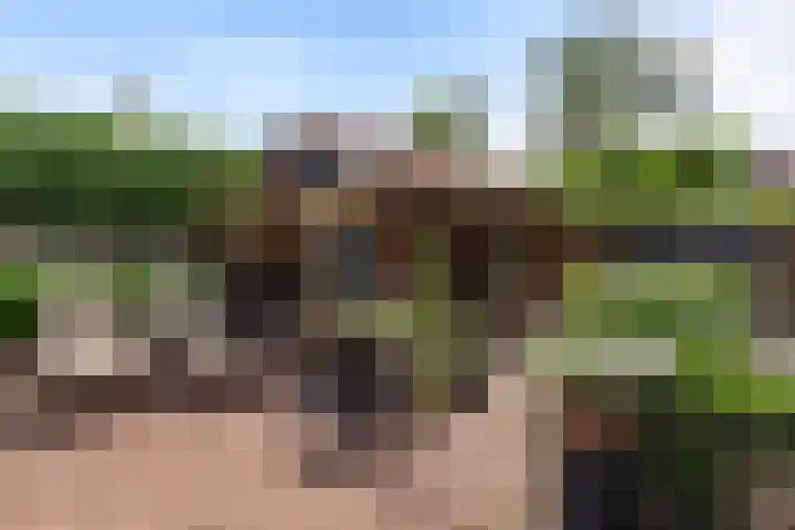 Waalstraat 1 Rhoon thumbnail 35