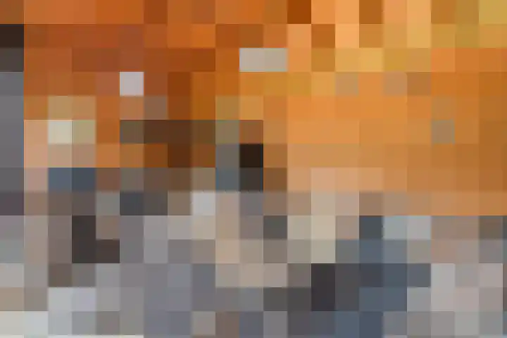 Waalstraat 1 Rhoon thumbnail 36