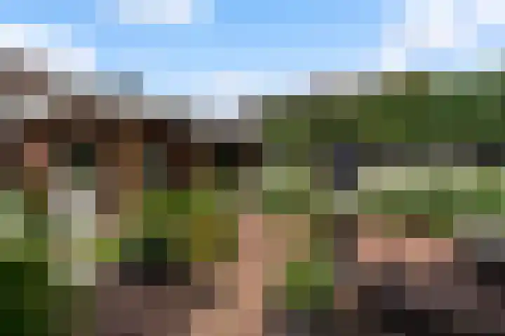 Waalstraat 1 Rhoon thumbnail 41