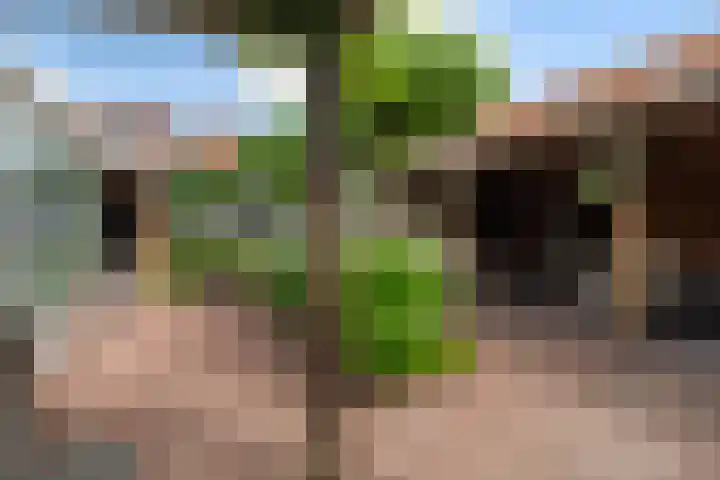Waalstraat 1 Rhoon thumbnail 42