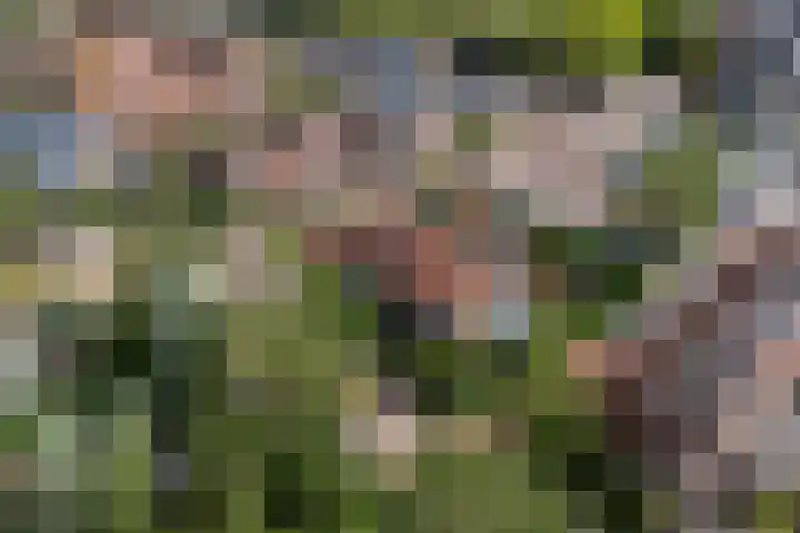 Waalstraat 1 Rhoon thumbnail 43