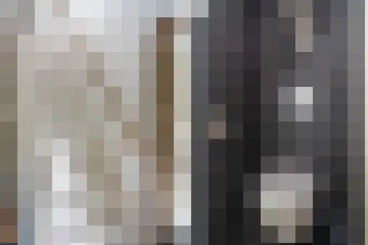 Waalstraat 1 Rhoon thumbnail 5