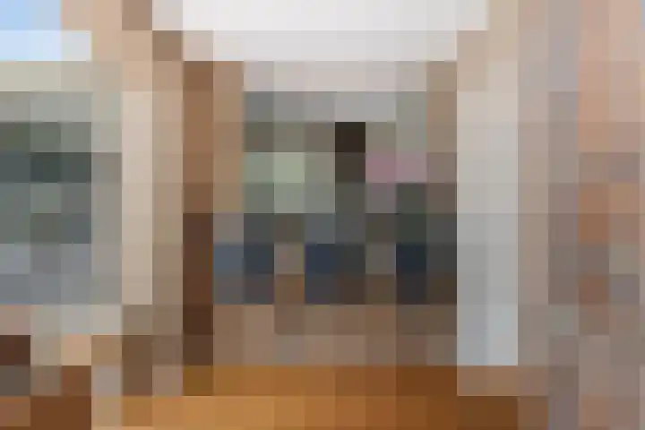 Waalstraat 1 Rhoon thumbnail 9