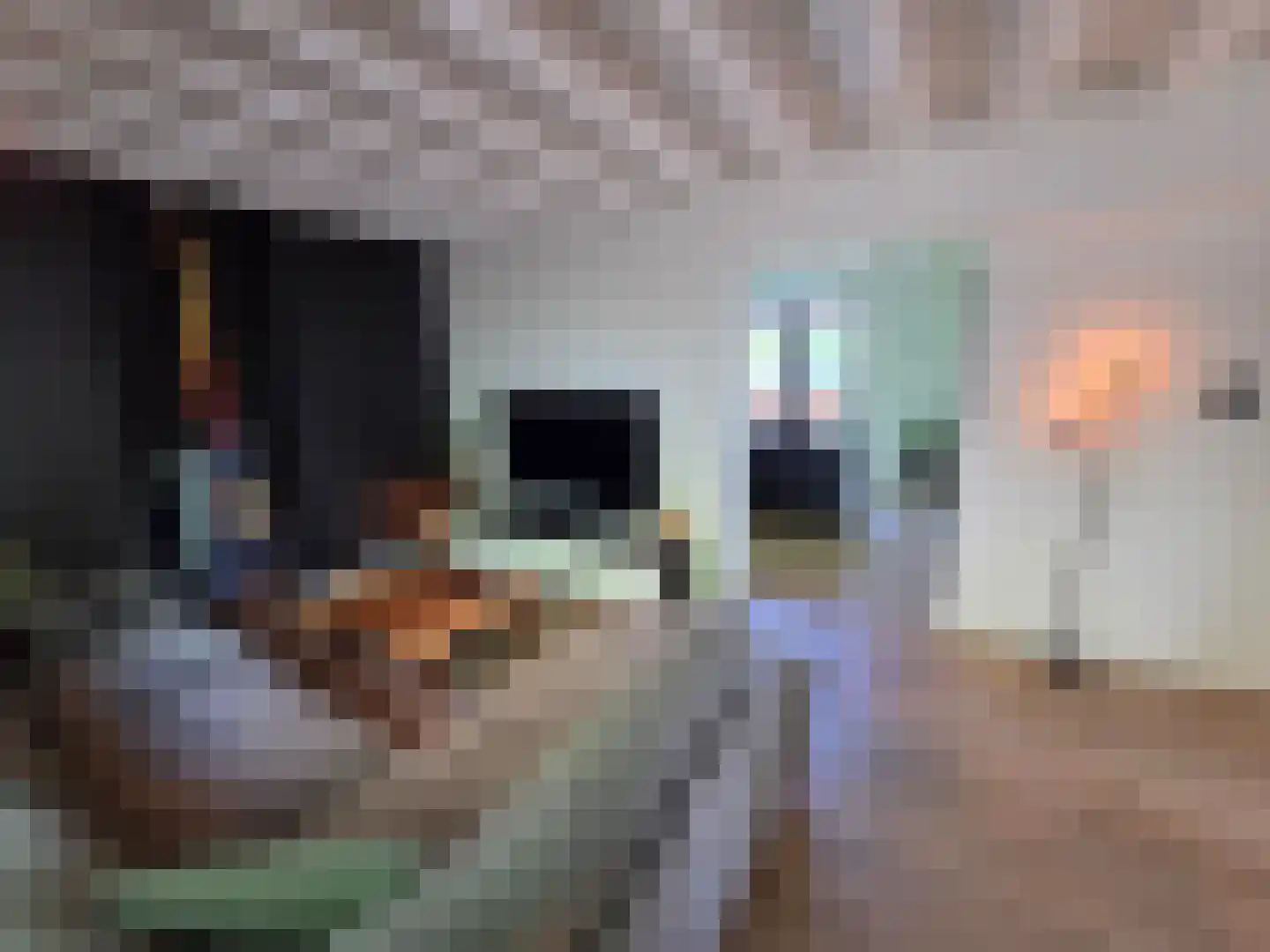 Waalstraat 1 Schaijk thumbnail 12
