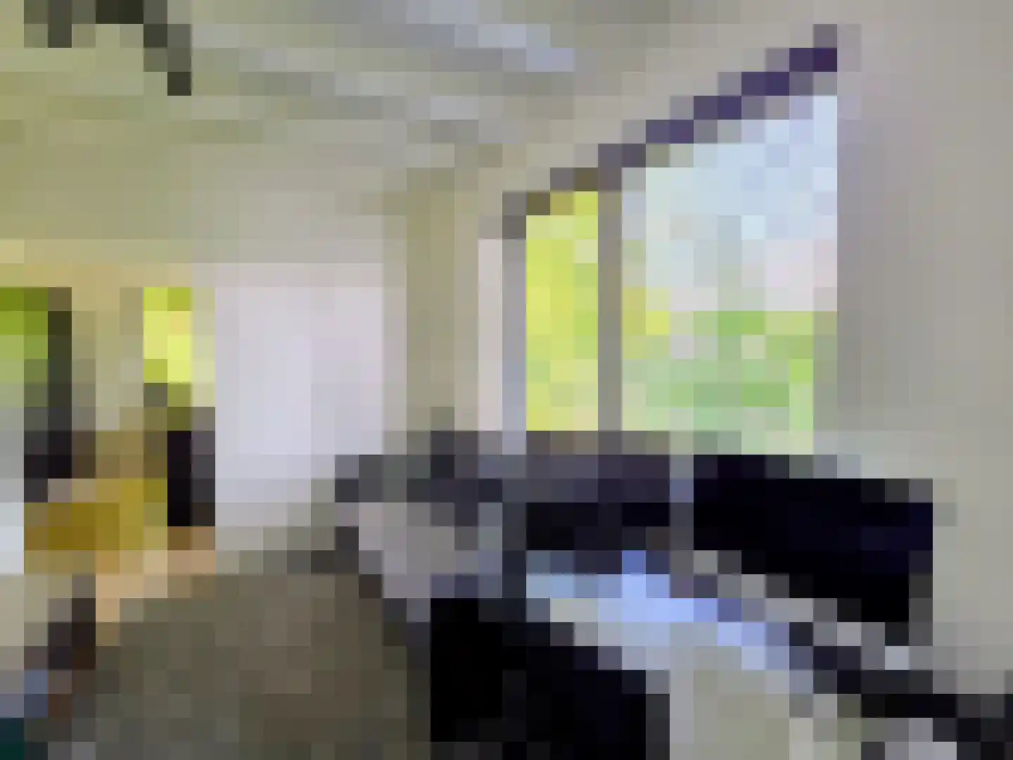 Waalstraat 1 Schaijk thumbnail 13