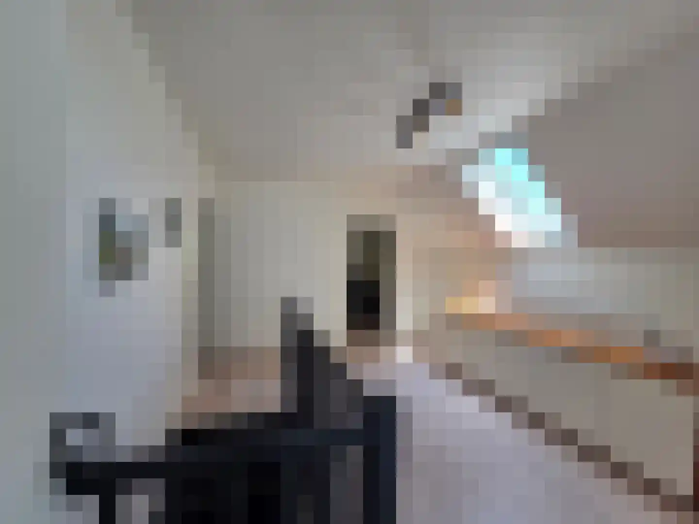 Waalstraat 1 Schaijk thumbnail 19