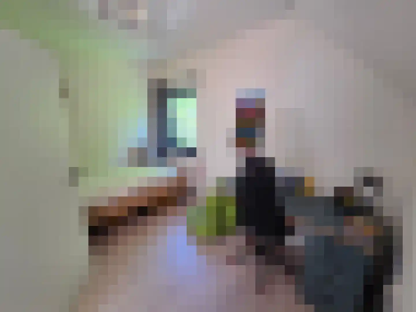 Waalstraat 1 Schaijk thumbnail 20