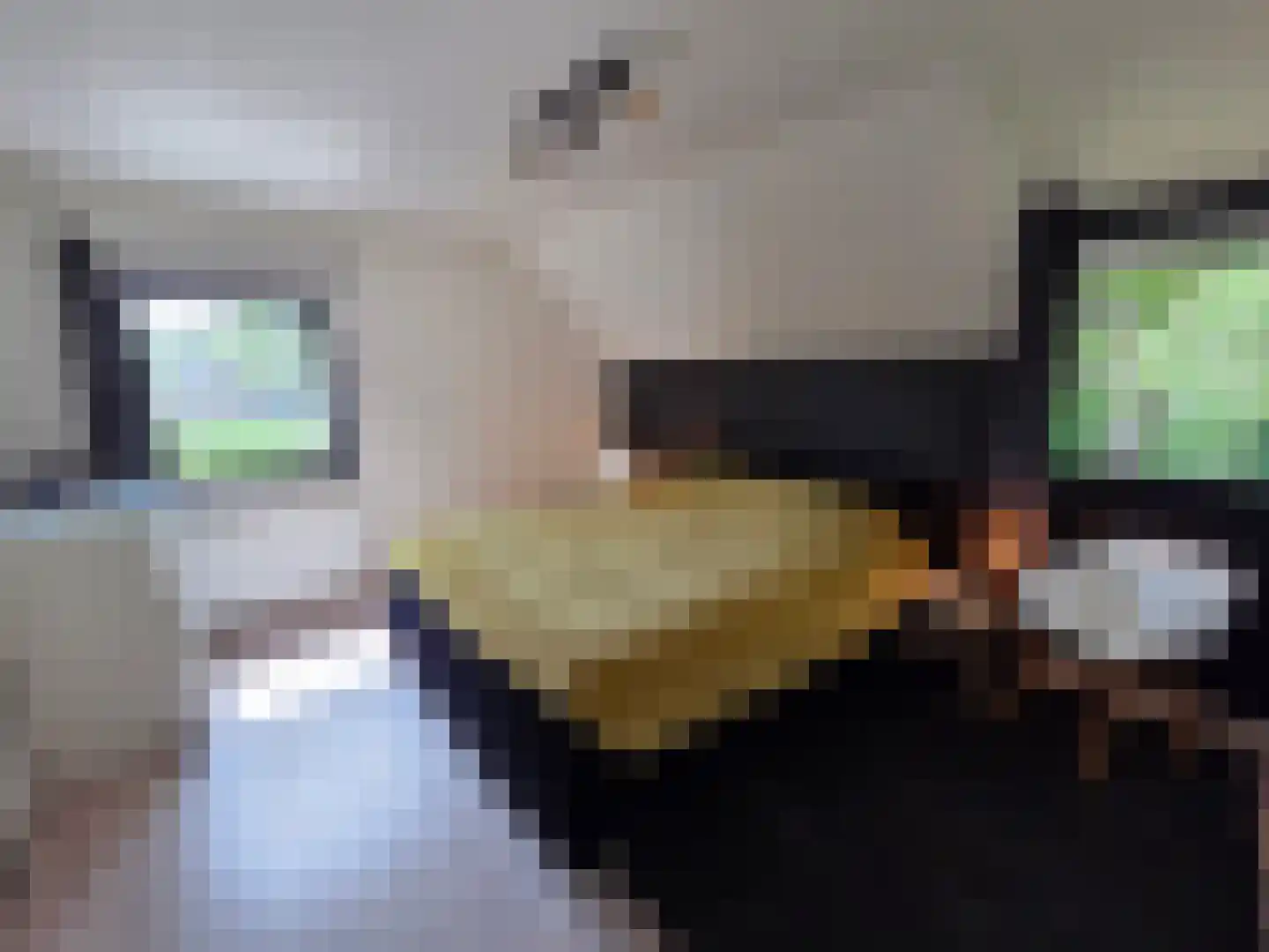 Waalstraat 1 Schaijk thumbnail 24