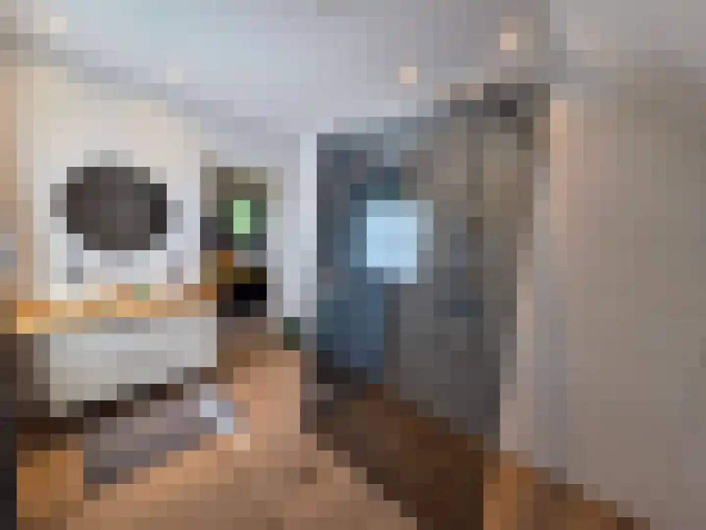 Waalstraat 1 Schaijk thumbnail 26