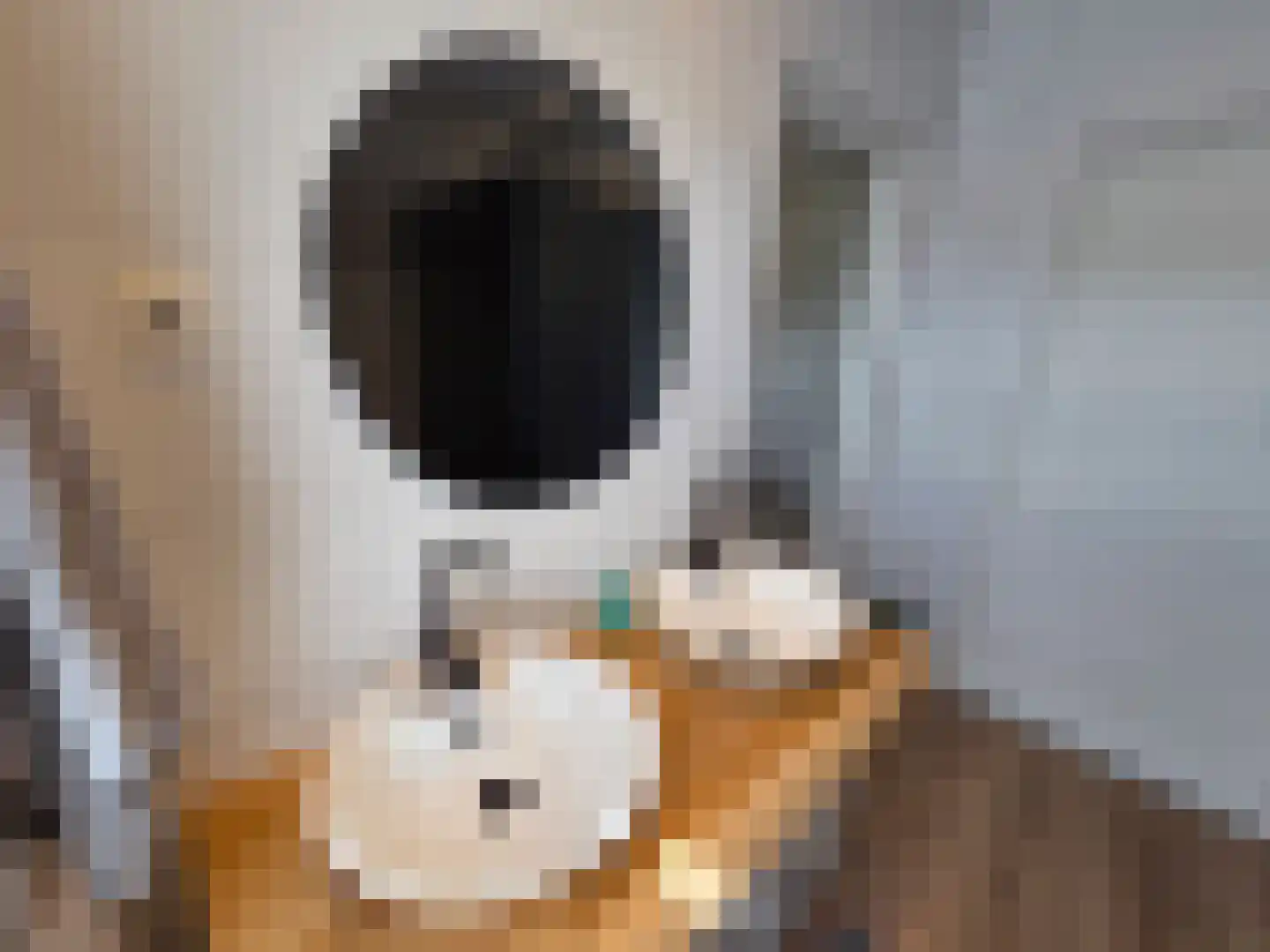 Waalstraat 1 Schaijk thumbnail 29