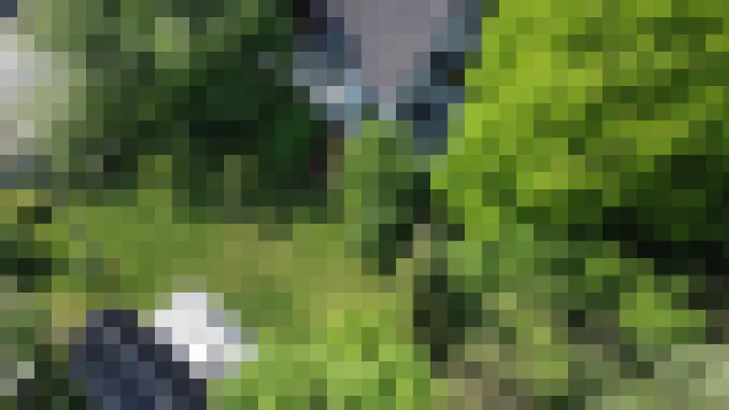 Waalstraat 1 Schaijk thumbnail 30
