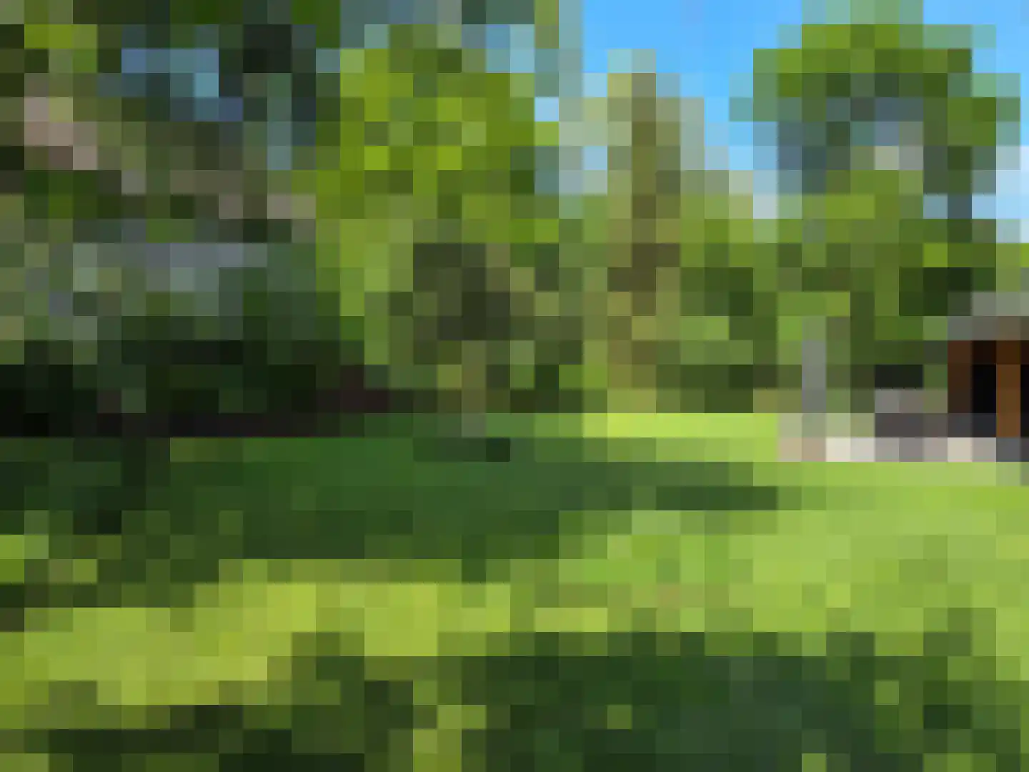 Waalstraat 1 Schaijk thumbnail 33