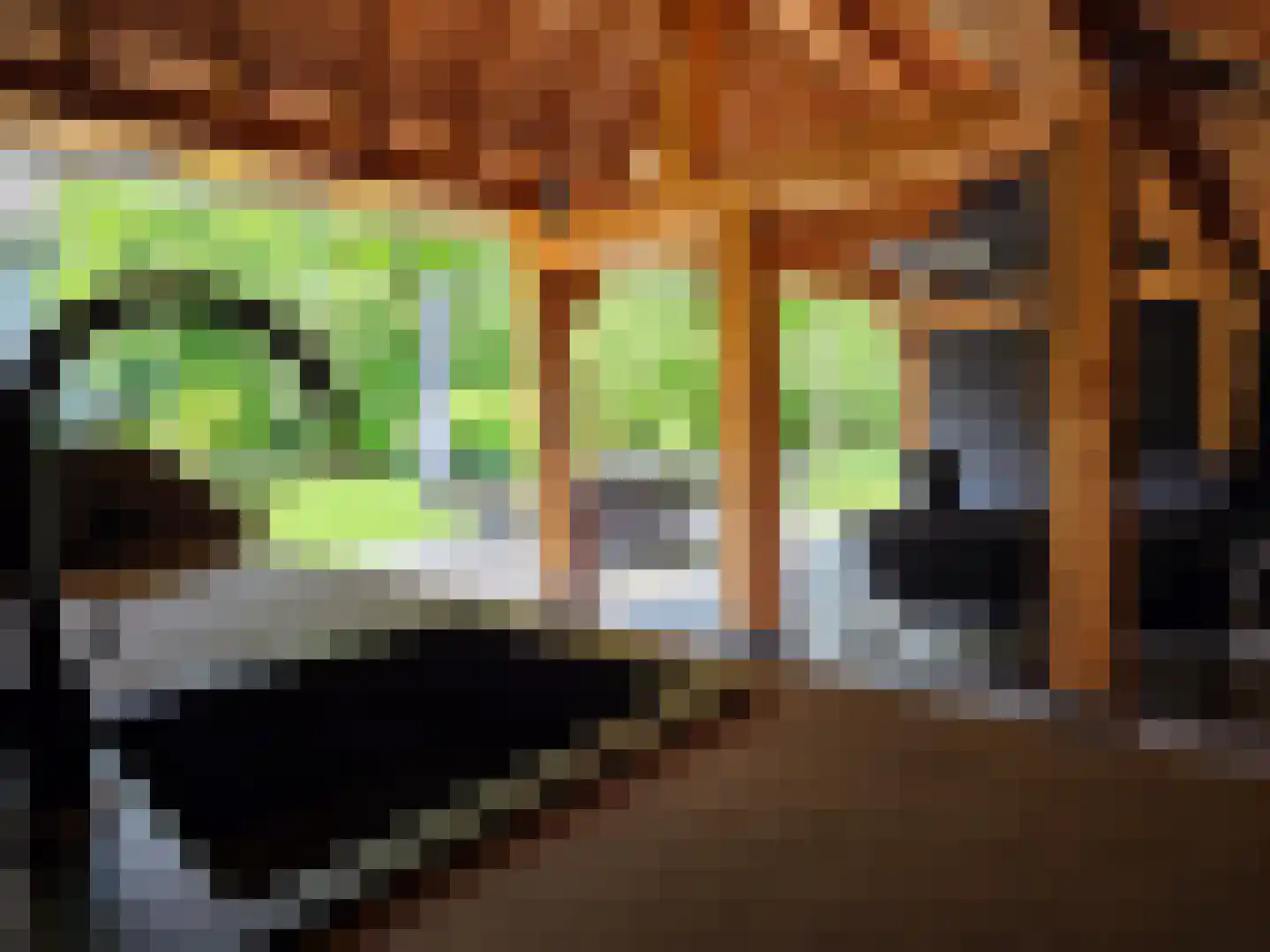 Waalstraat 1 Schaijk thumbnail 35