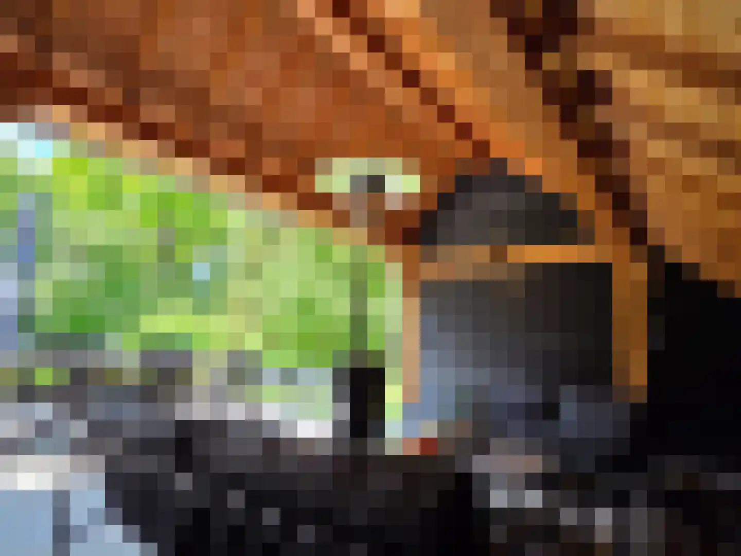 Waalstraat 1 Schaijk thumbnail 36