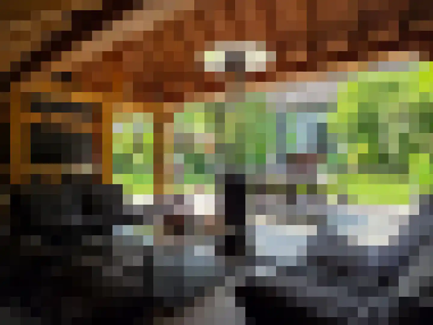Waalstraat 1 Schaijk thumbnail 37