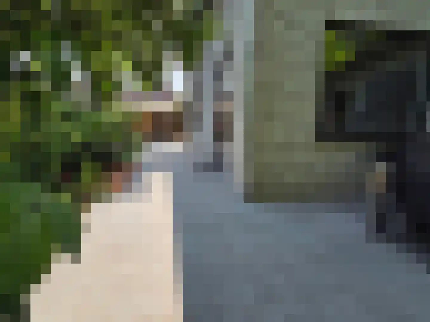 Waalstraat 1 Schaijk thumbnail 38