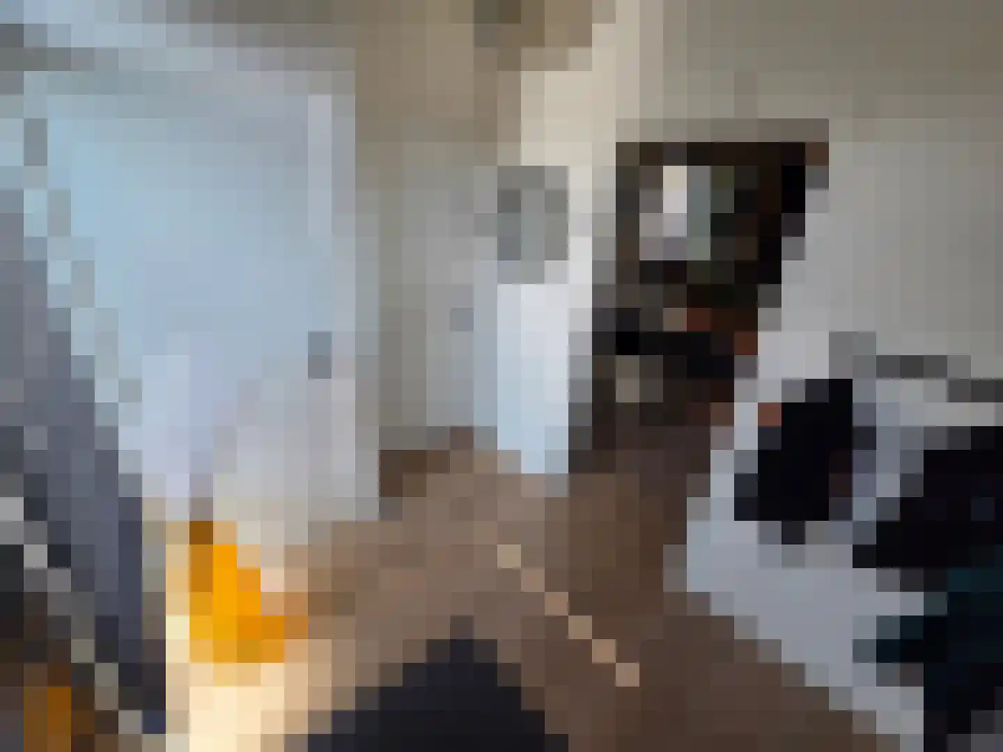 Waalstraat 1 Schaijk thumbnail 4