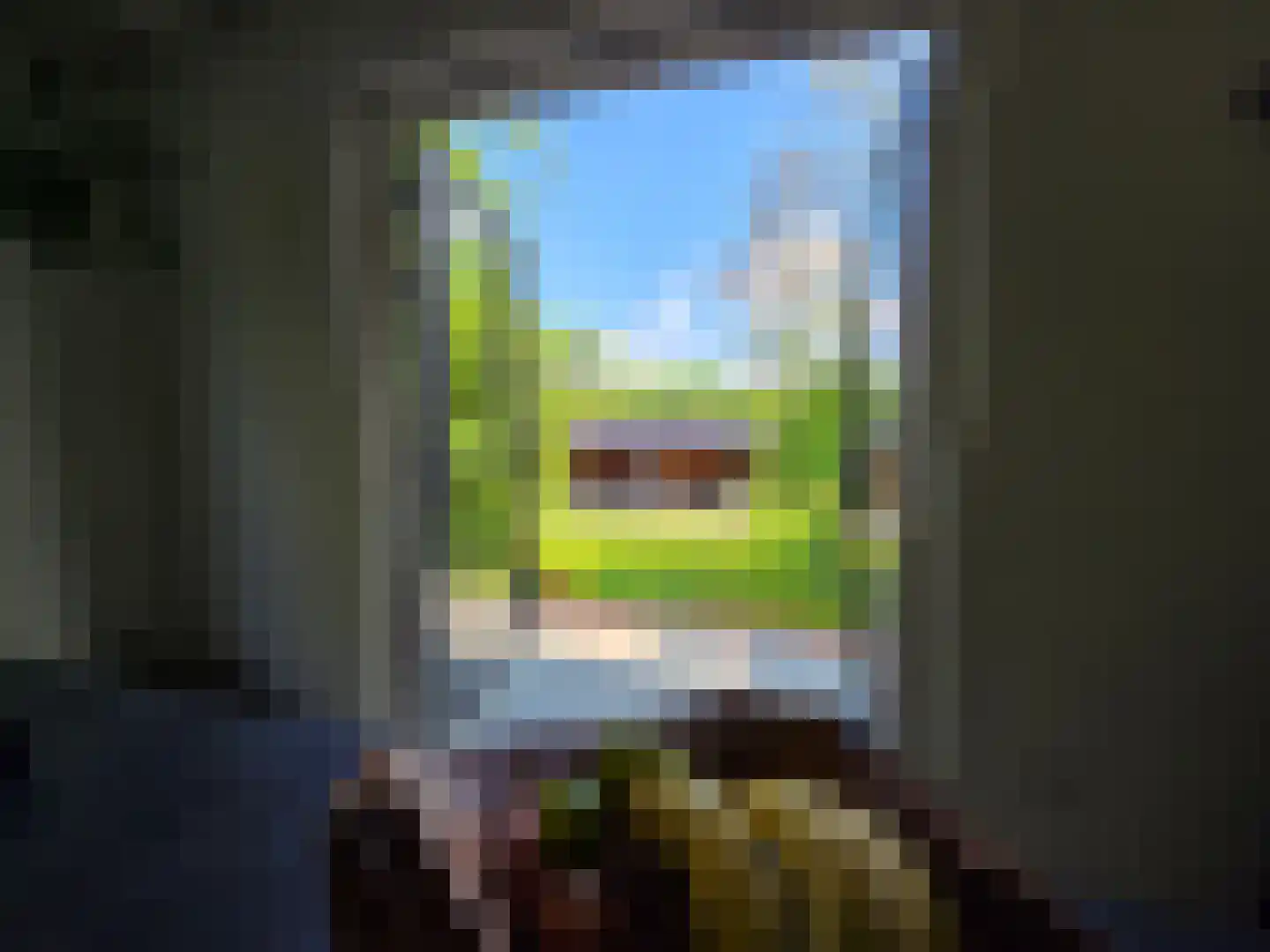 Waalstraat 1 Schaijk thumbnail 40