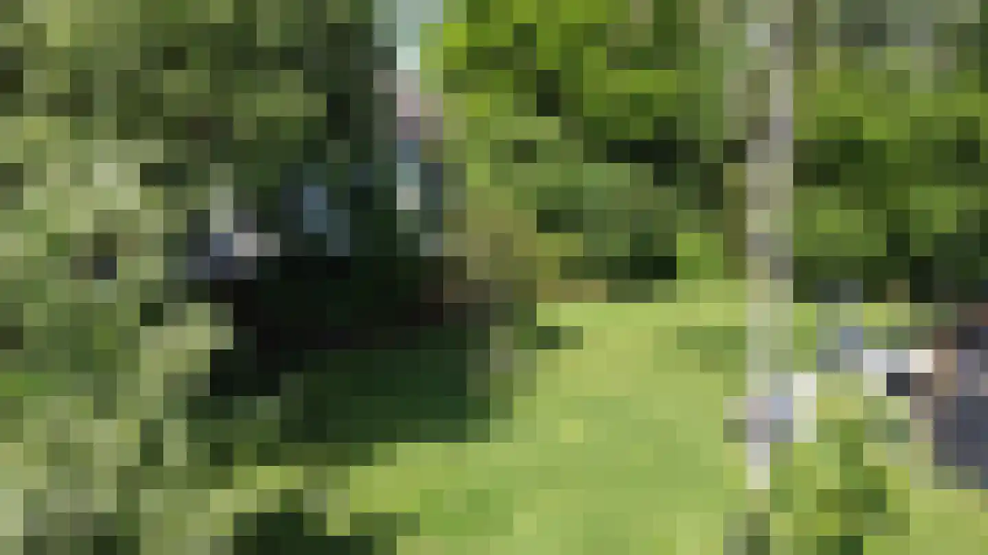 Waalstraat 1 Schaijk thumbnail 43
