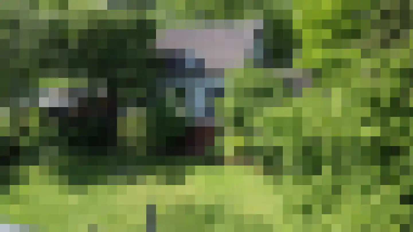 Waalstraat 1 Schaijk thumbnail 44
