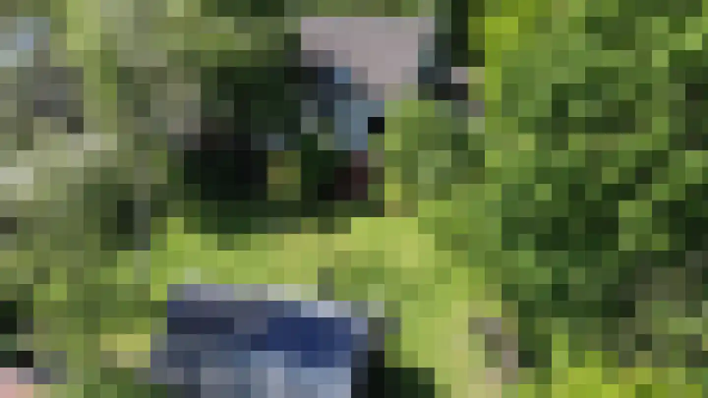 Waalstraat 1 Schaijk thumbnail 45