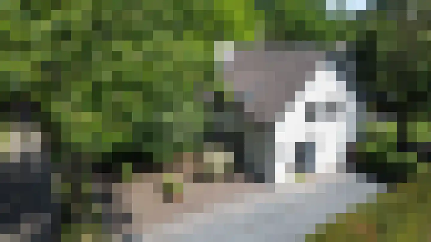 Waalstraat 1 Schaijk thumbnail 46