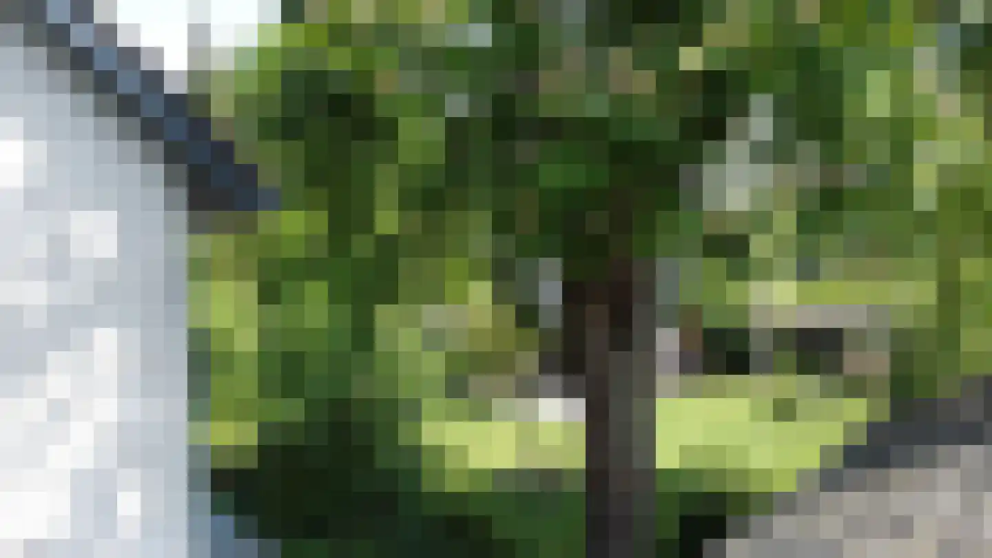 Waalstraat 1 Schaijk thumbnail 47