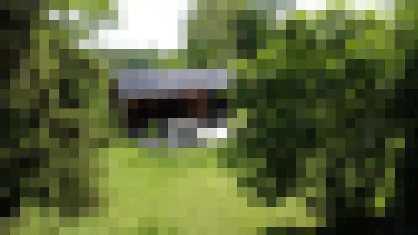 Waalstraat 1 Schaijk thumbnail 48