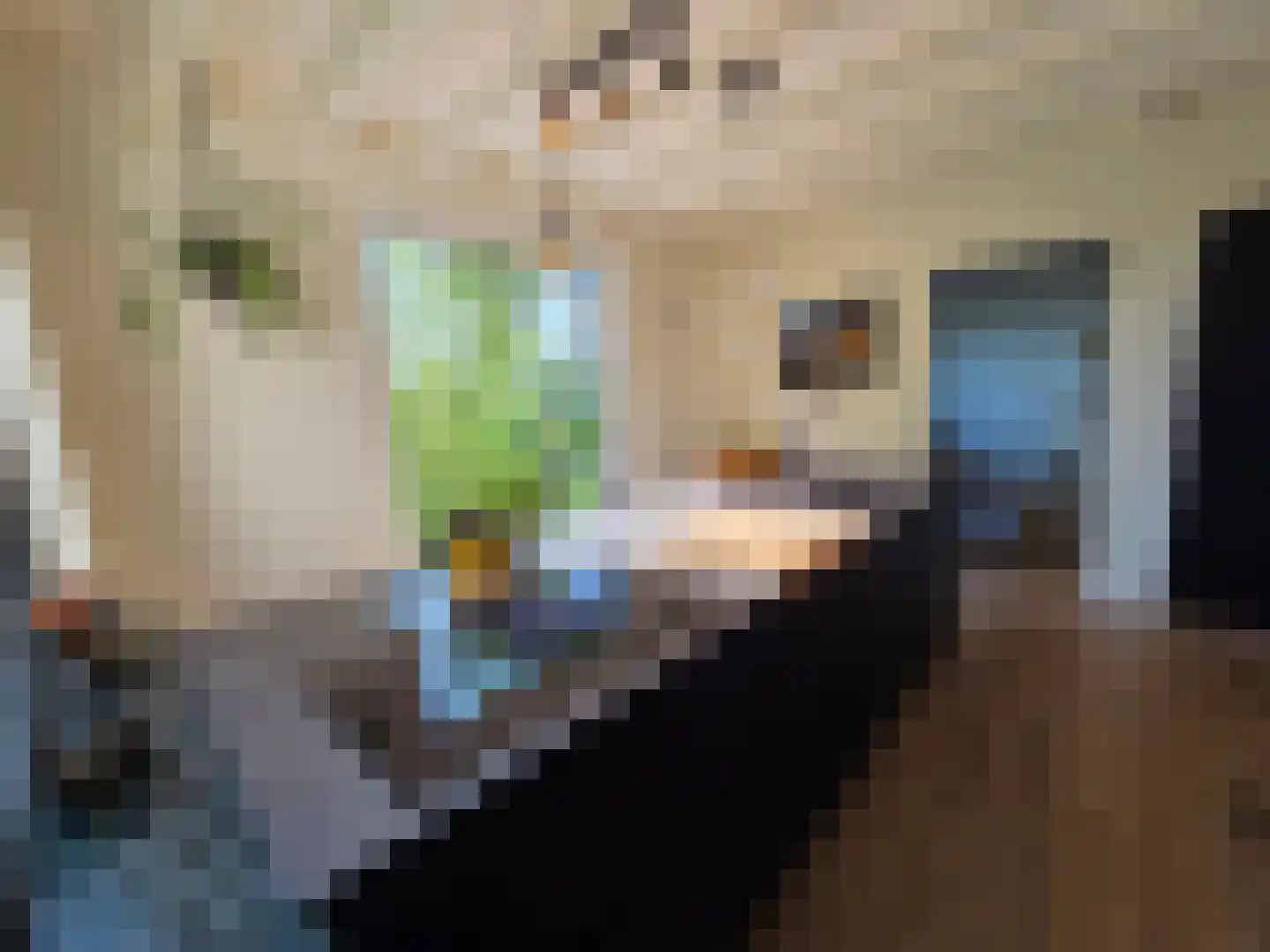 Waalstraat 1 Schaijk thumbnail 6
