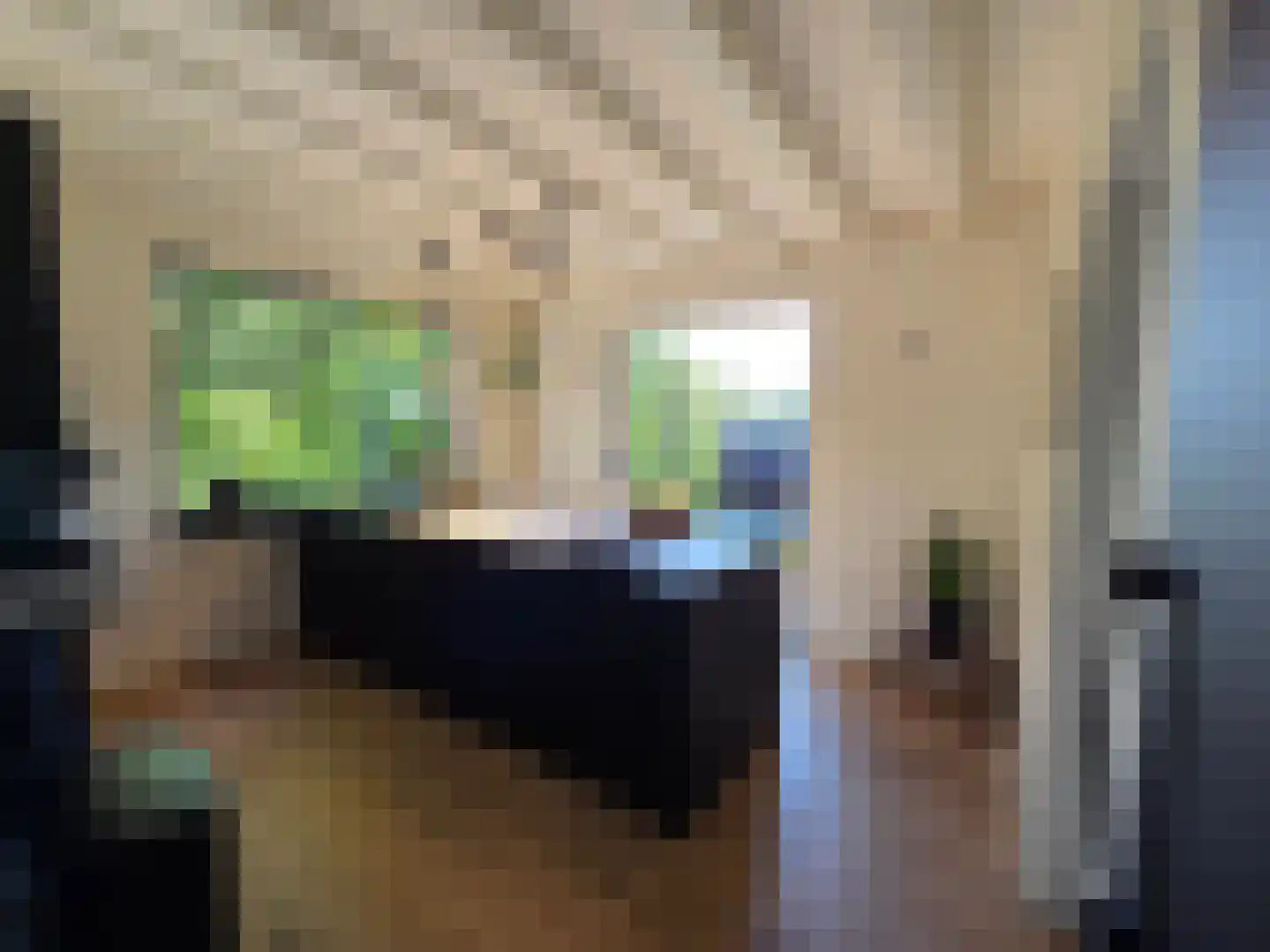 Waalstraat 1 Schaijk thumbnail 7
