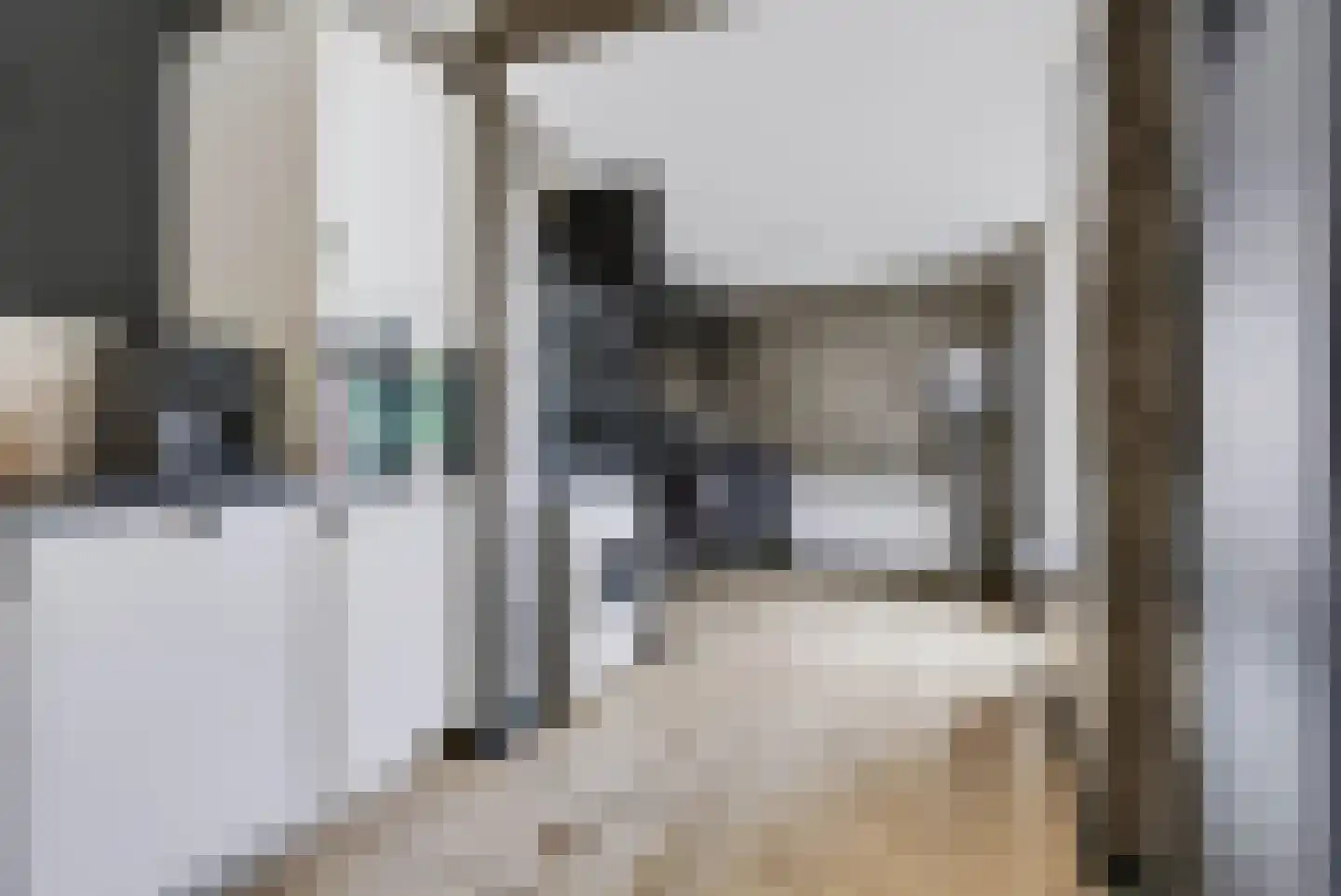 Waalstraat 10 Apeldoorn thumbnail 14