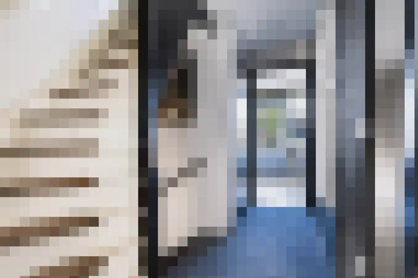 Waalstraat 10 Apeldoorn thumbnail 23