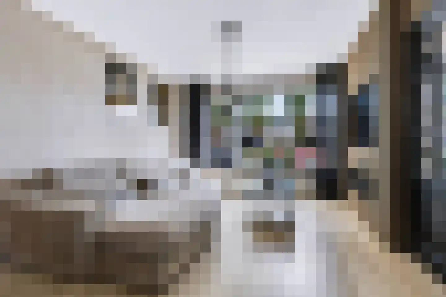 Waalstraat 10 Apeldoorn thumbnail 8