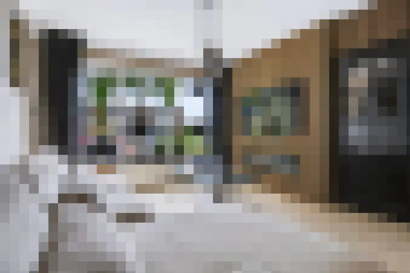 Waalstraat 10 Apeldoorn thumbnail 9