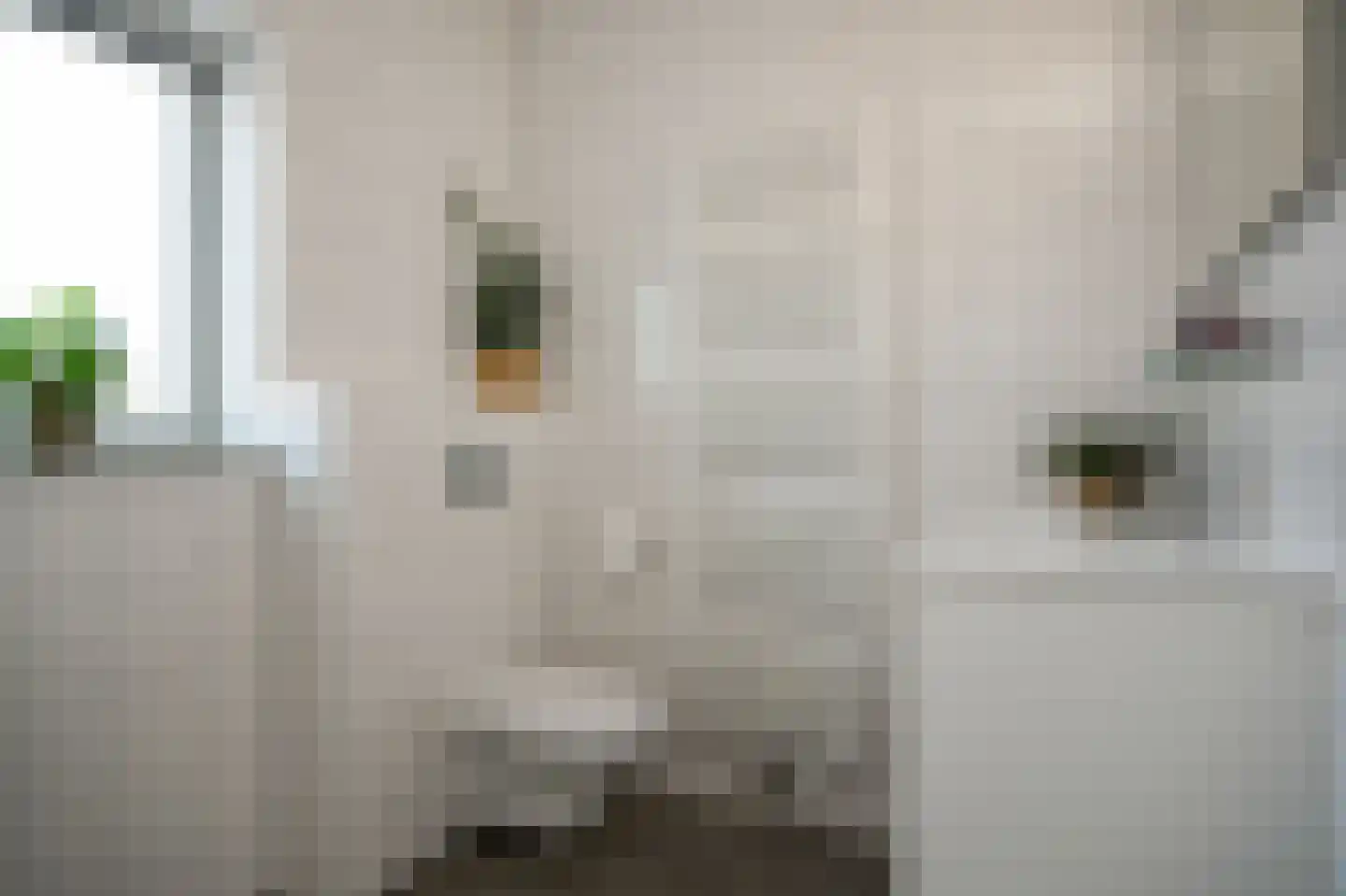 Waalstraat 10 Geldermalsen thumbnail 20