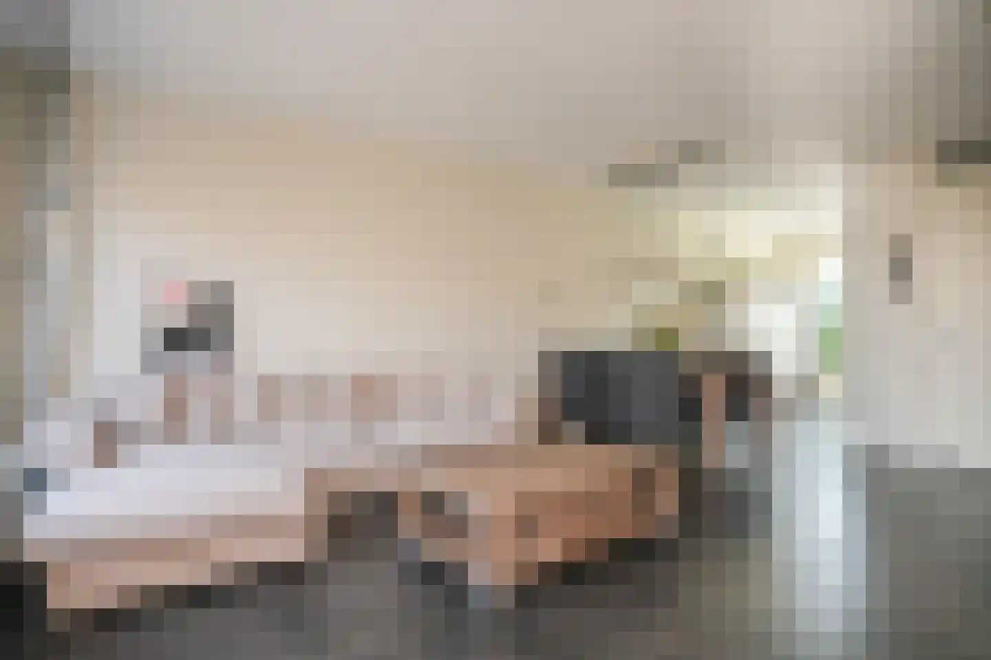 Waalstraat 10 Geldermalsen thumbnail 4