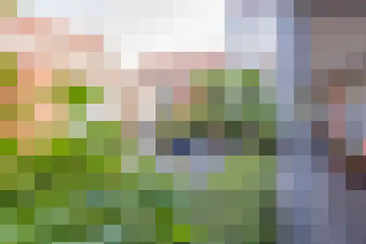 Waalstraat 105 C IJmuiden thumbnail 8