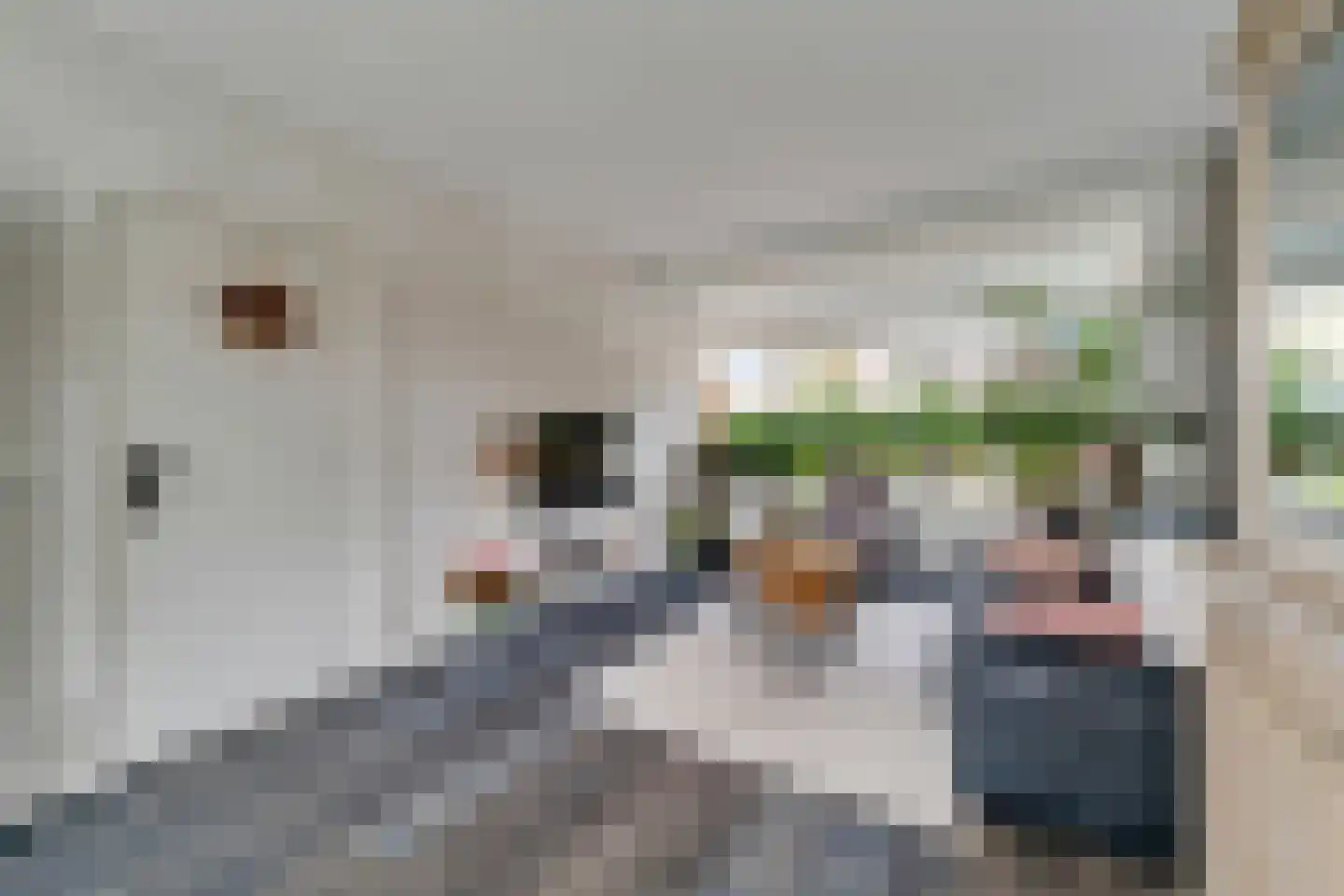 Waalstraat 11 Nijverdal thumbnail 4