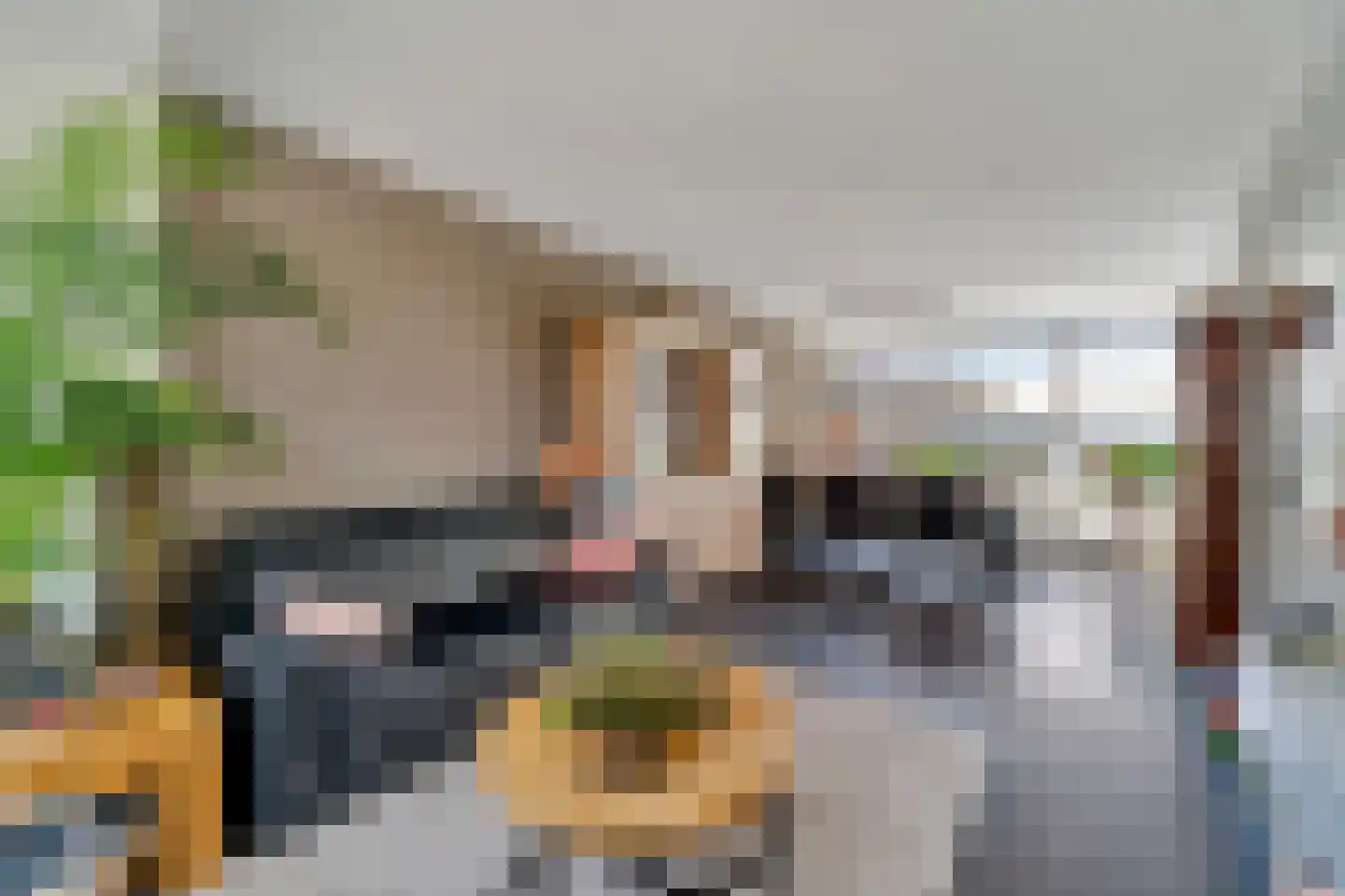 Waalstraat 11 Nijverdal thumbnail 6