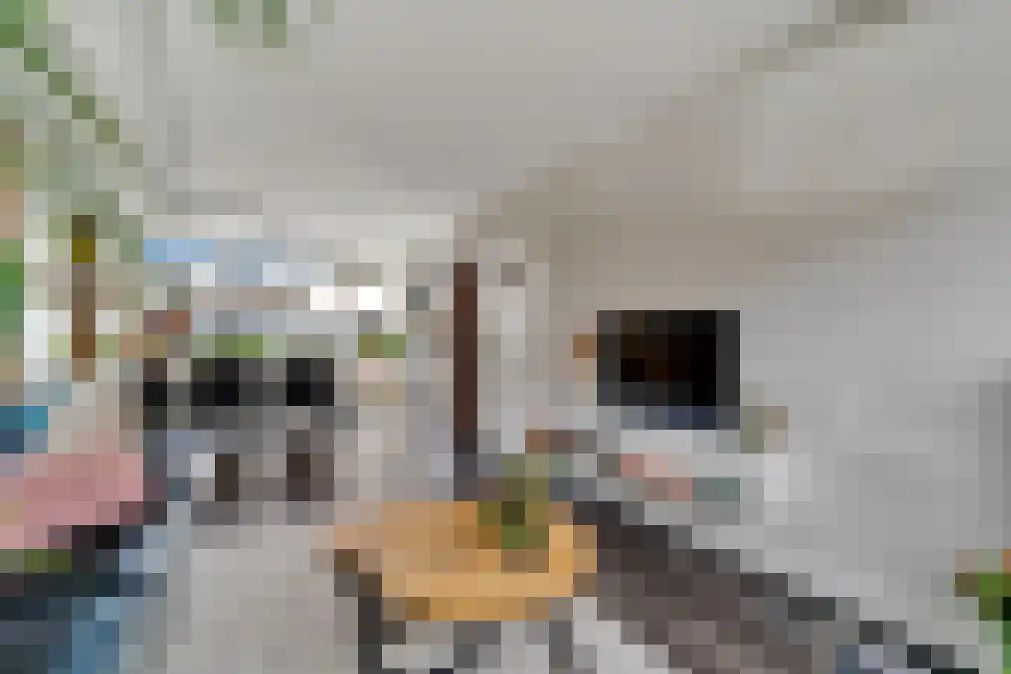 Waalstraat 11 Nijverdal thumbnail 7