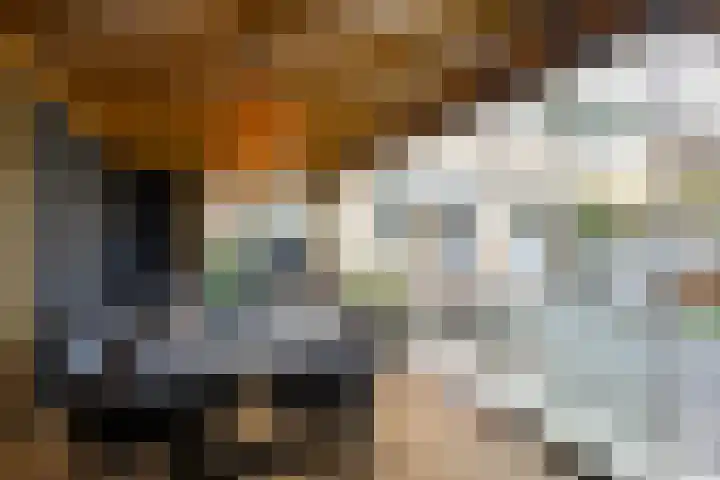 Waalstraat 11 Sliedrecht thumbnail 36