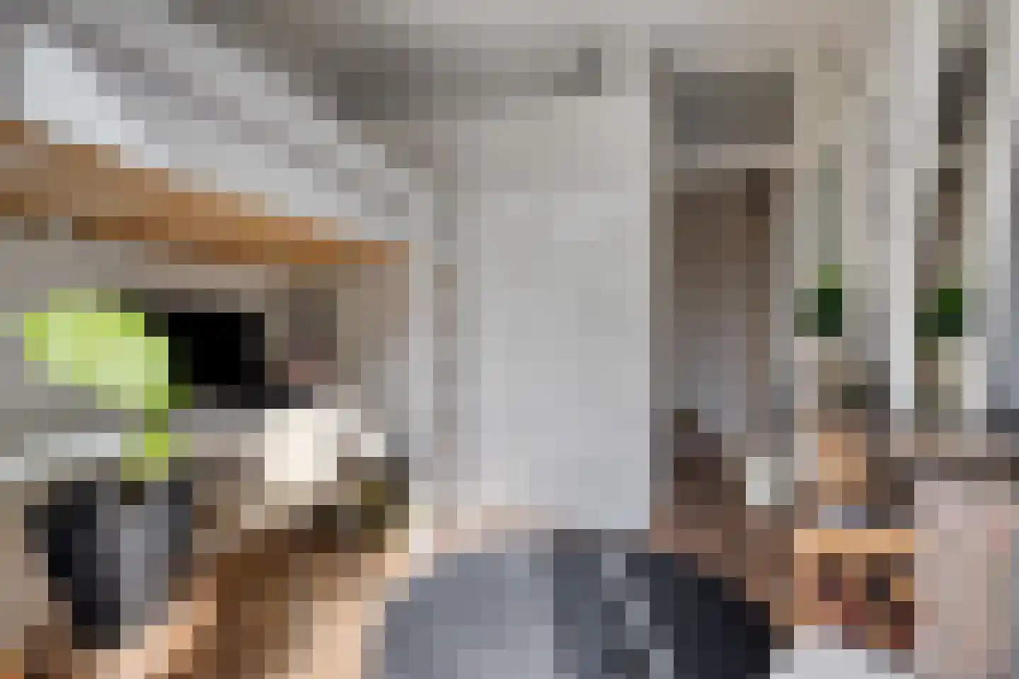 Waalstraat 114 Amsterdam thumbnail 29