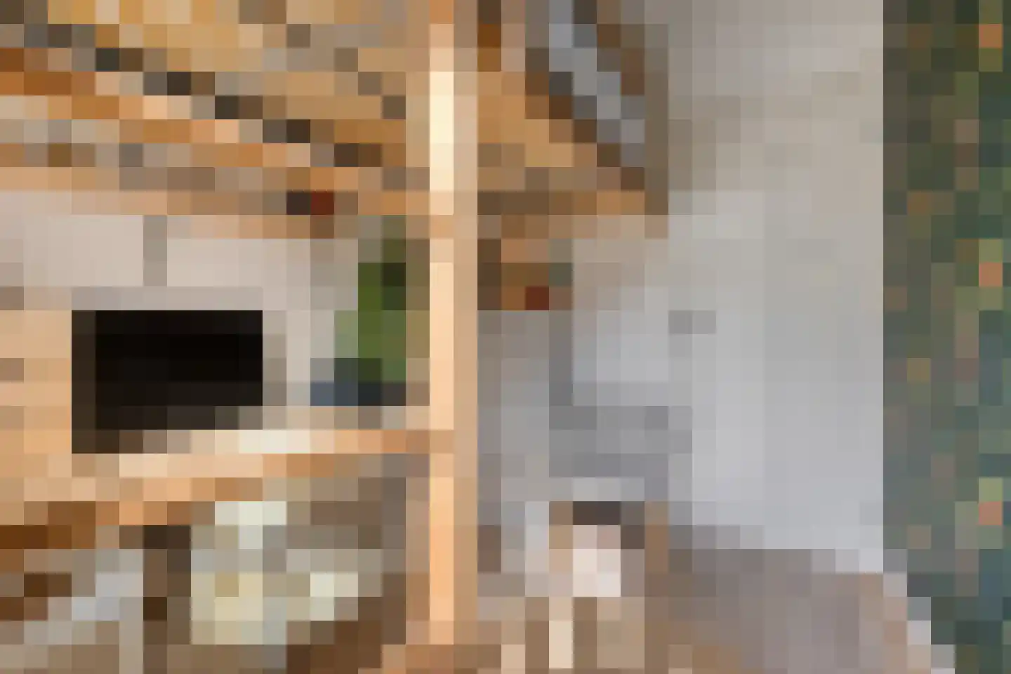 Waalstraat 114 Amsterdam thumbnail 31