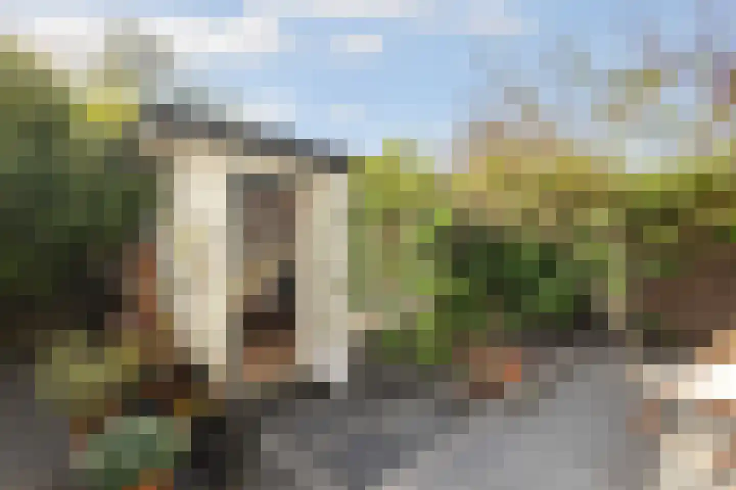 Waalstraat 114 Amsterdam thumbnail 40