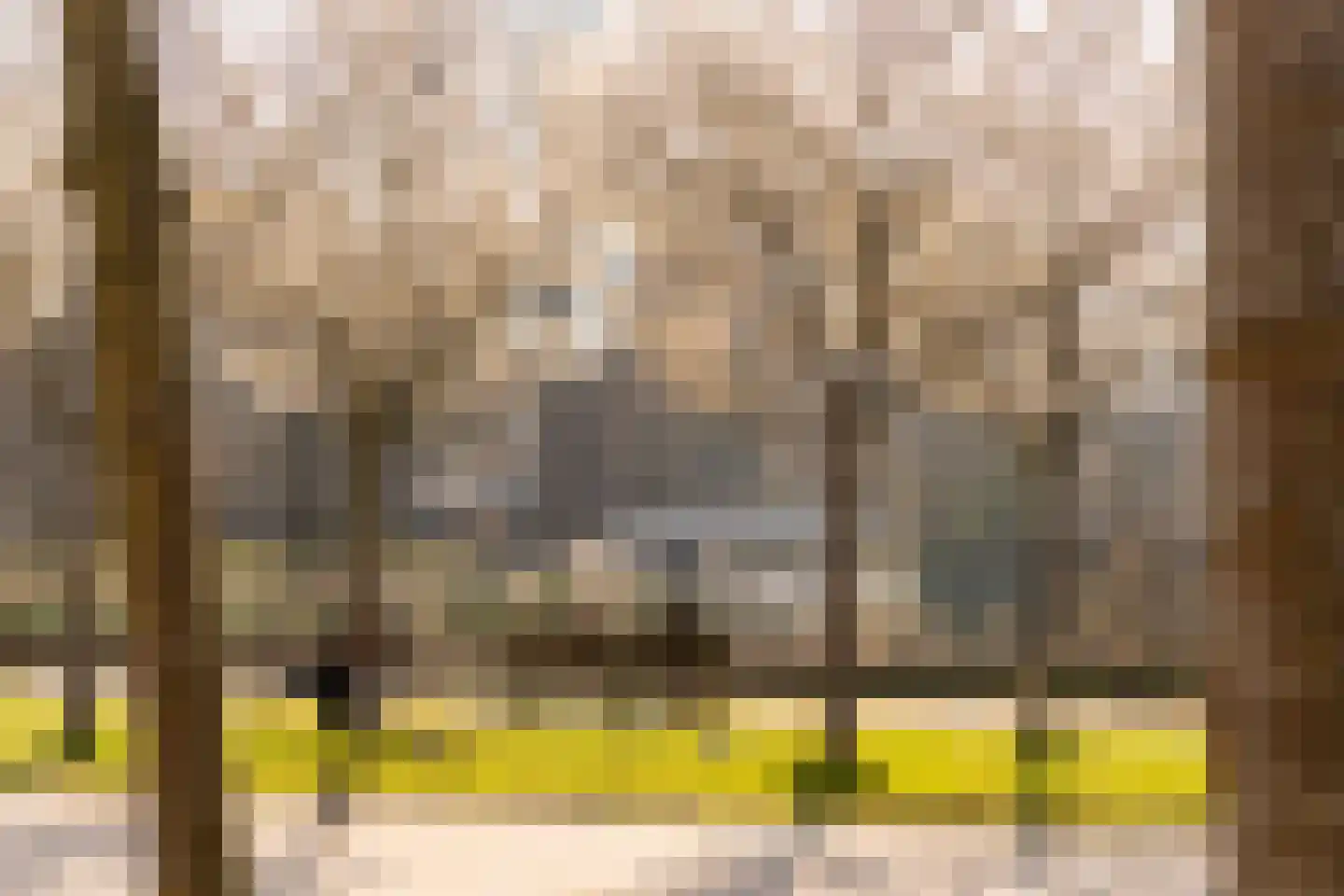 Waalstraat 114 Amsterdam thumbnail 51