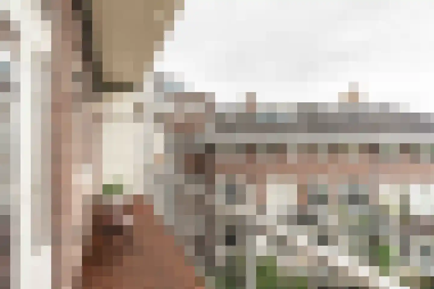 Waalstraat 118 3 Amsterdam thumbnail 26