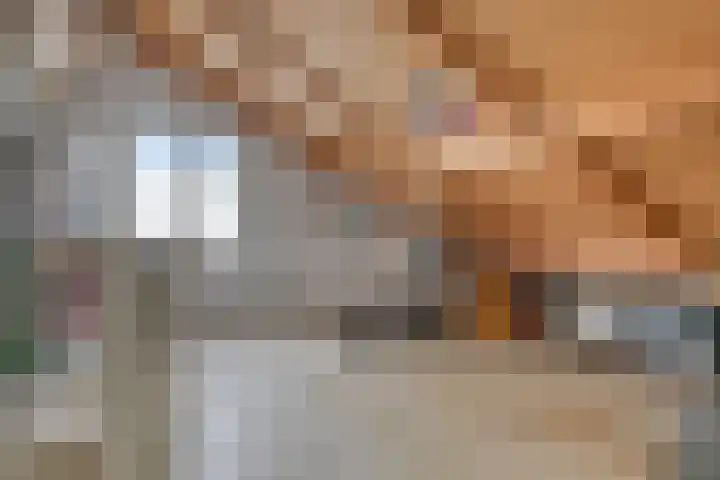 Waalstraat 12 Spijkenisse thumbnail 20