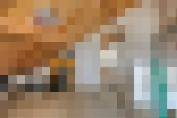 Waalstraat 12 Spijkenisse thumbnail 21