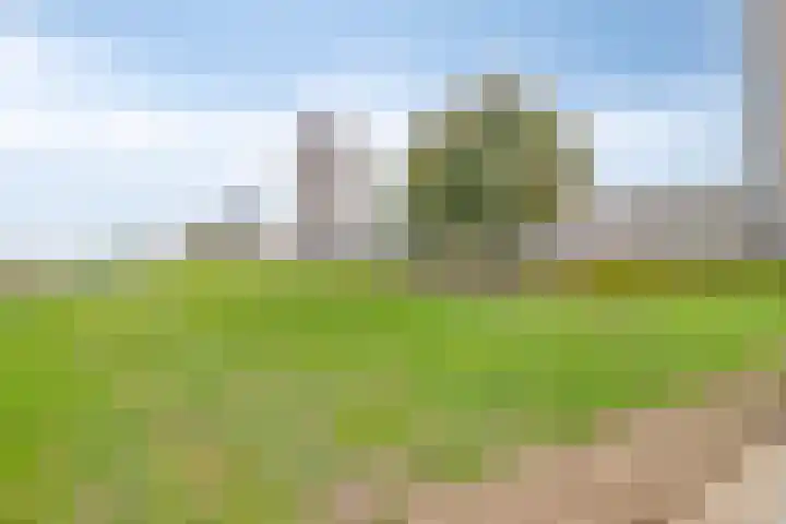 Waalstraat 12 Spijkenisse thumbnail 35