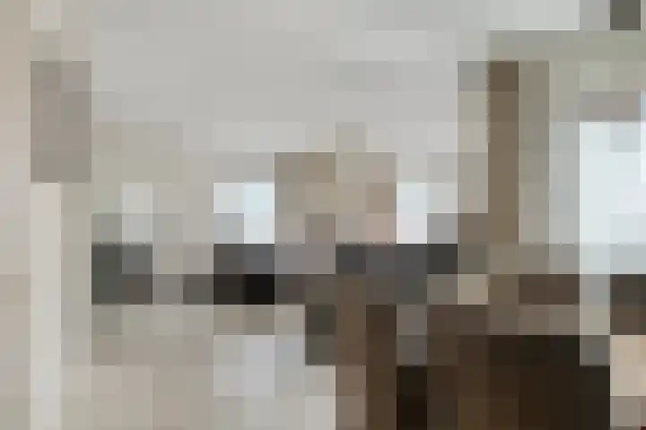Waalstraat 12 Spijkenisse thumbnail 7